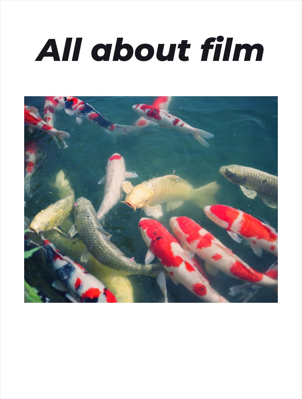 All about film cover